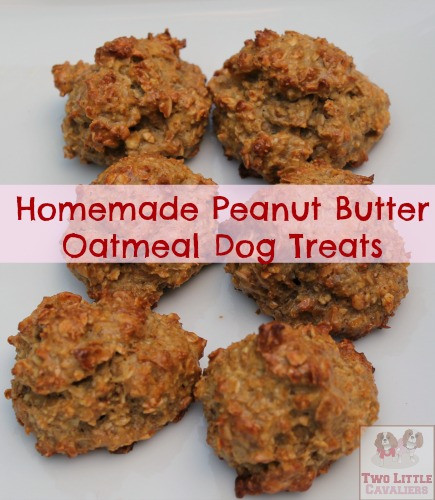 DIY Dog Treats With Peanut Butter
 Homemade Dog Treats Peanut Butter Oatmeal Two Little