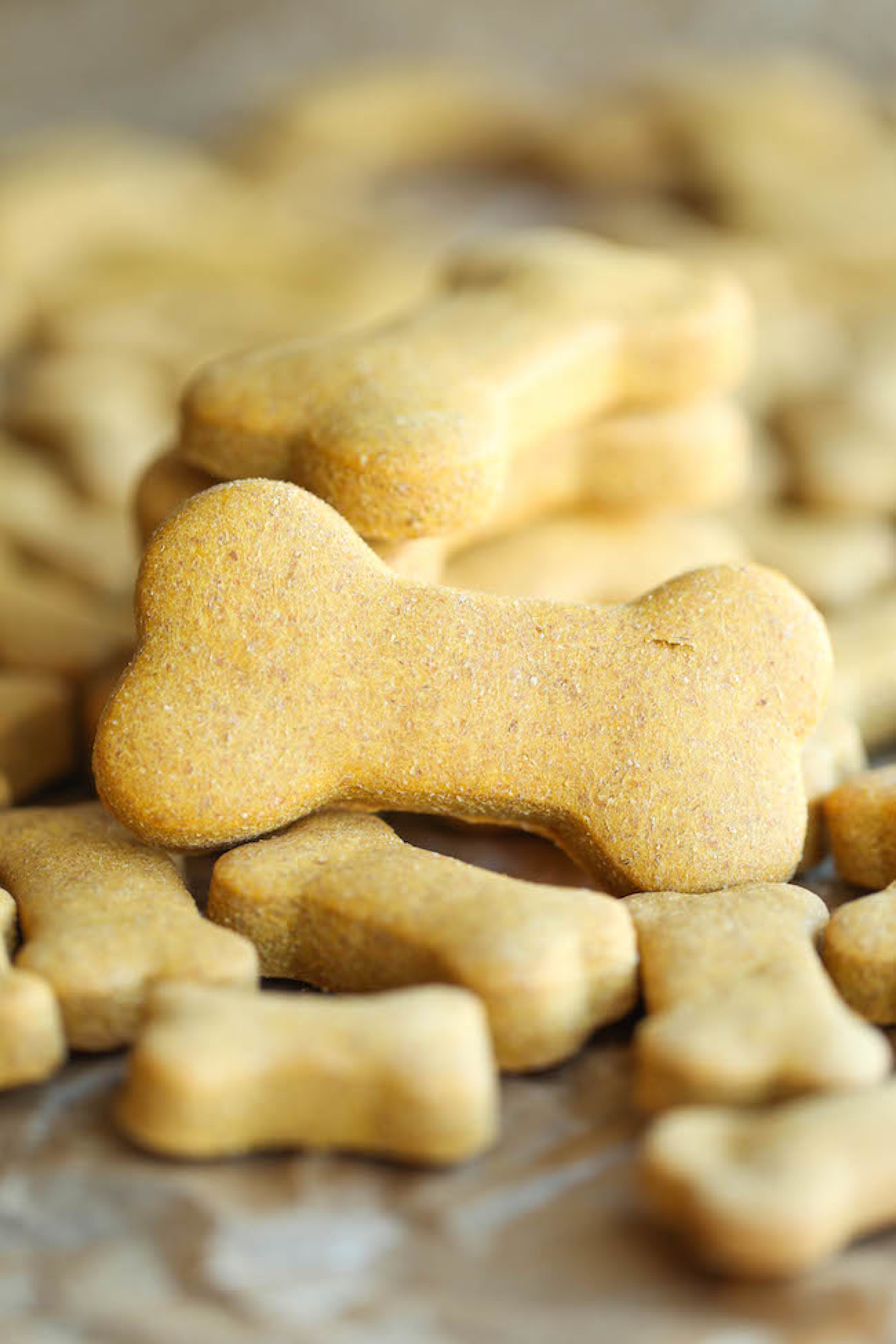 DIY Dog Treats With Peanut Butter
 Homemade Peanut Butter Dog Treats Recipe