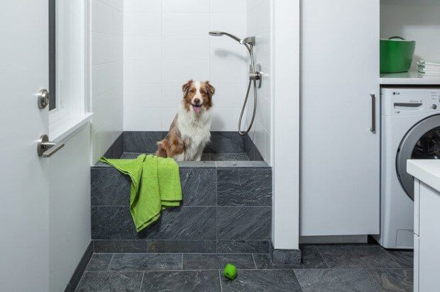 DIY Dog Washing Station
 The 25 best Dog washing station ideas on Pinterest