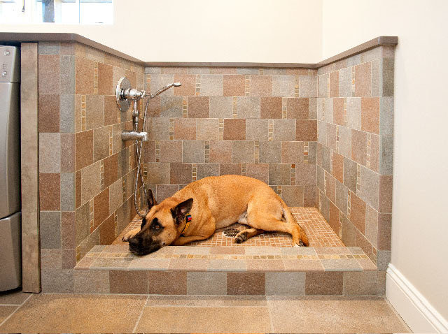 DIY Dog Washing Station
 15 Doggone Good Tips for a Pet Washing Station