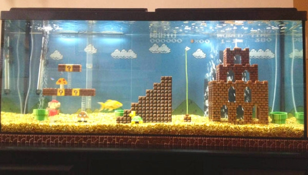 DIY Fish Tank Decor
 DIY Super Mario Aquarium Decor petdiys