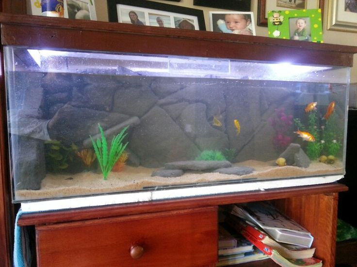 DIY Fish Tank Decor
 17 Best images about DIY Fish Tank Decor on Pinterest