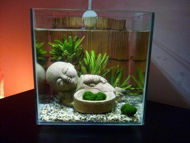 DIY Fish Tank Decor
 14 Diy Aquarium Ideas For Aquarists Home Design
