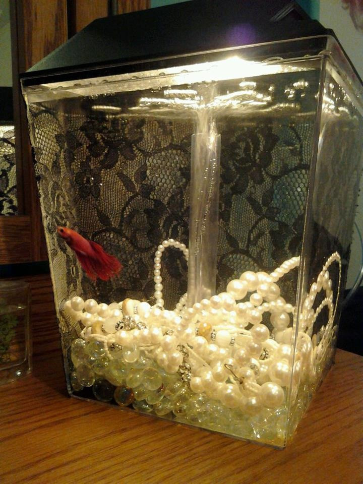 DIY Fish Tank Decor
 14 Diy Aquarium Ideas For Aquarists Kelly s Diy Blog