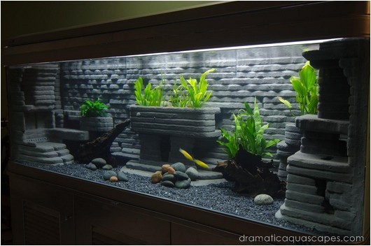 DIY Fish Tank Decor
 Dramatic AquaScapes DIY Aquarium Background Bob Kyaw