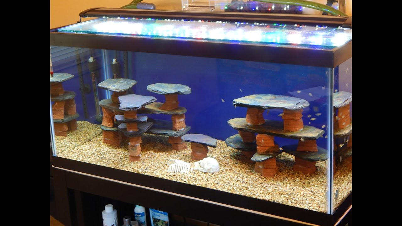 DIY Fish Tank Decor
 DIY How to make a rock slate structure for a fish tank