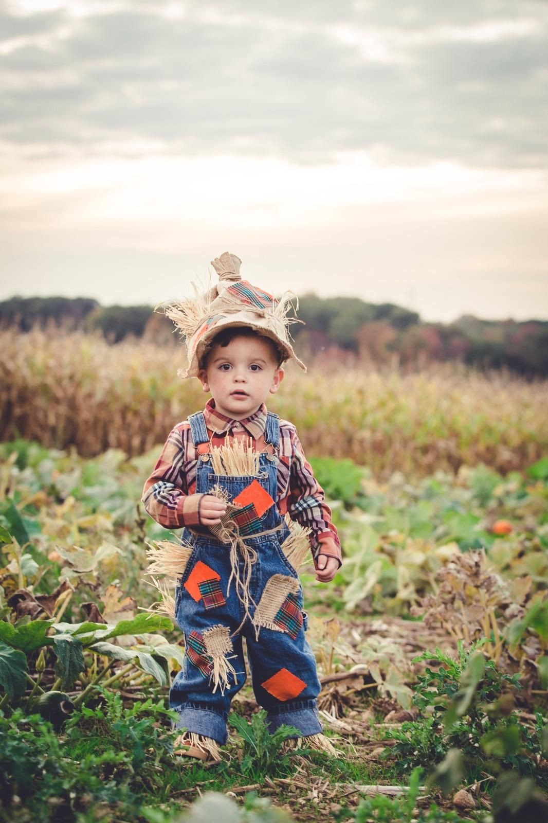 DIY Halloween Costumes For Toddler Boys
 Scarecrow Costume Halloween Toddler Boy 3T