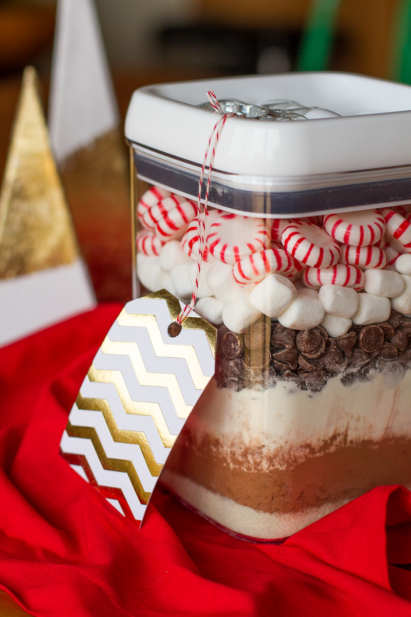 DIY Hot Chocolate Mix Gift
 35 Decadent Hot Chocolate Recipes Plus 3 Hot Chocolate