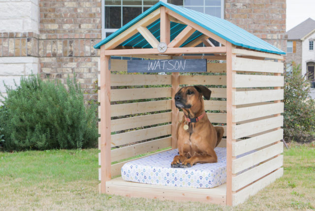 DIY Large Dog House
 40 Terrific DIY Dog Houses for Fido
