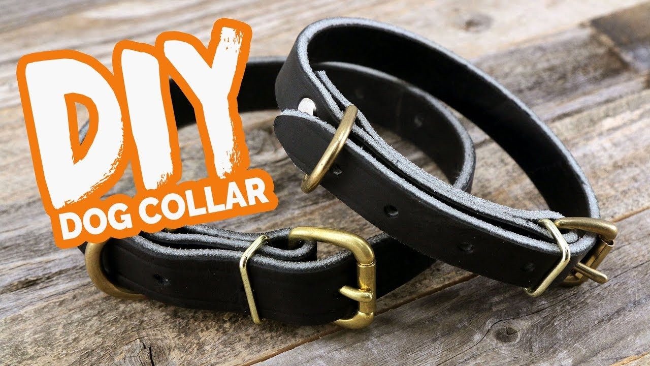 DIY Leather Dog Collar
 DIY Leather Dog Collar