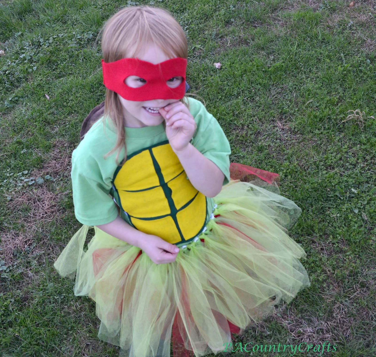 DIY Ninja Turtle Costume With Tutu
 DIY Girls’ Ninja Turtle Costumes with TUTUS