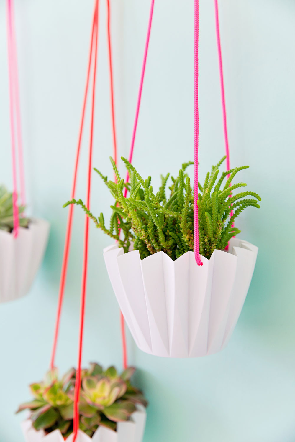DIY Outdoor Hanging Planter
 5 MINUTE DIY HANGING PLANTERS Tell Love and Party