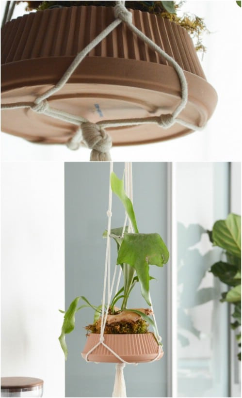 DIY Outdoor Hanging Planter
 20 Cheap And Easy DIY Hanging Planters That Add Beautiful