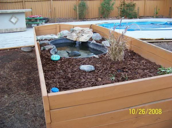 DIY Outdoor Turtle Pond
 24 best The turtles images on Pinterest