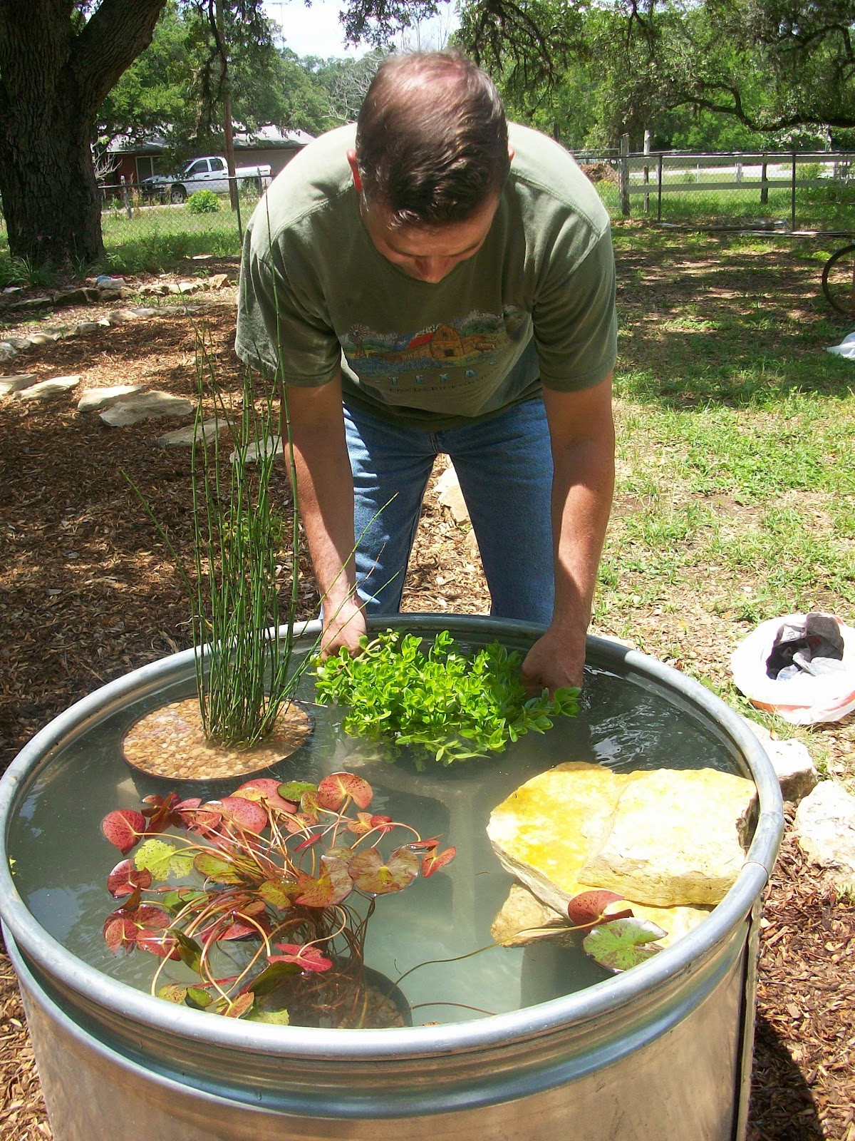 DIY Outdoor Turtle Pond
 Window on a Texas Wildscape How we made our stock tank