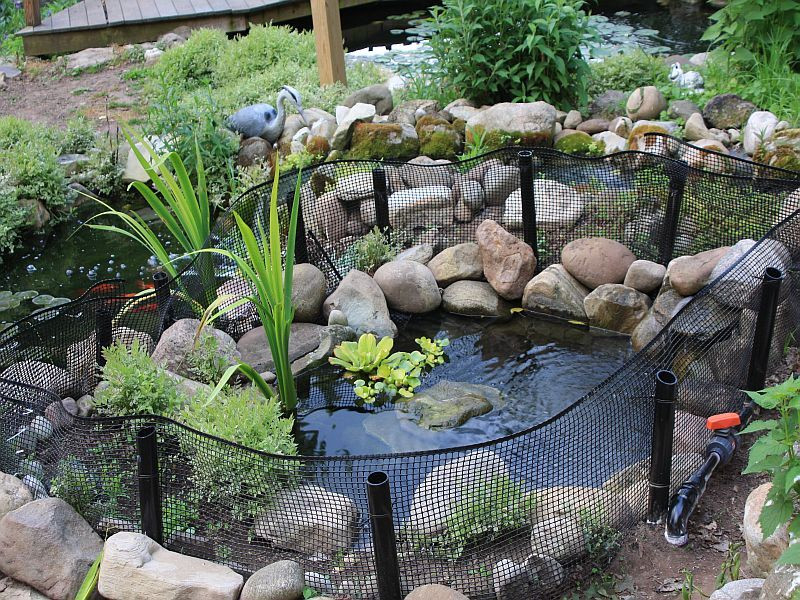 DIY Outdoor Turtle Pond
 Outdoor turtle pond I d love to my guys out of the
