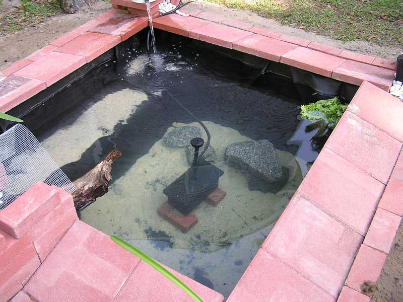 DIY Outdoor Turtle Pond
 Redearslider View topic Input on a DIY filter