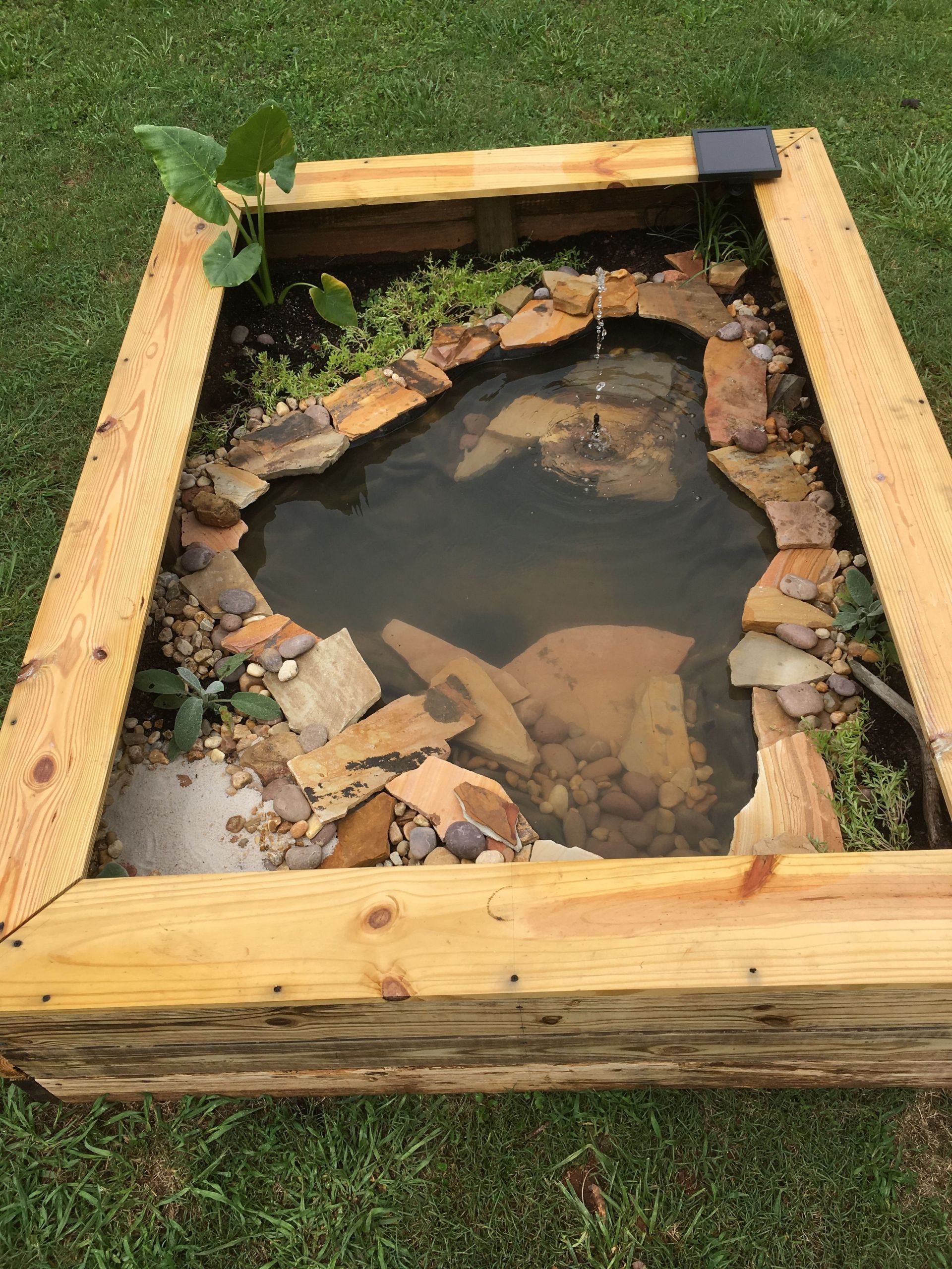 DIY Outdoor Turtle Pond
 Our new DIY above ground pond for Bella the turtle