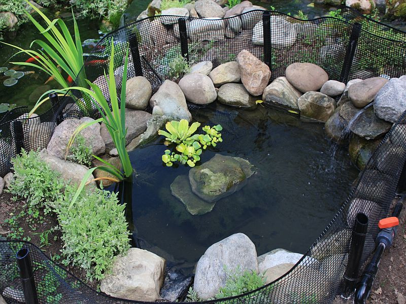 DIY Outdoor Turtle Pond
 Outdoor turtle pond