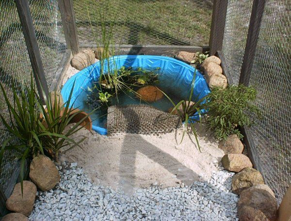 DIY Outdoor Turtle Pond
 Kid pool turtle habitat