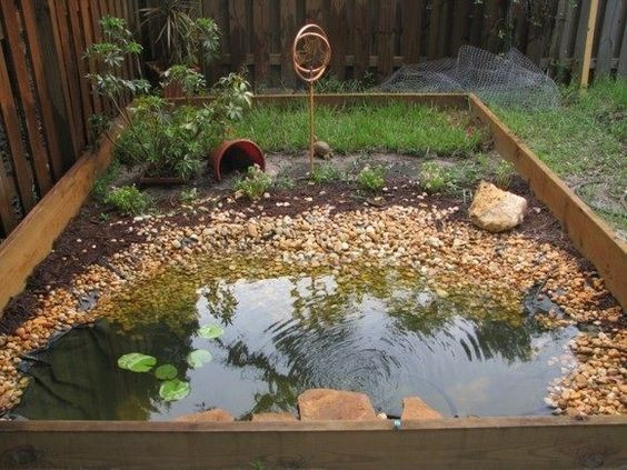DIY Outdoor Turtle Pond
 Red Eared Slider Outdoor Habitat