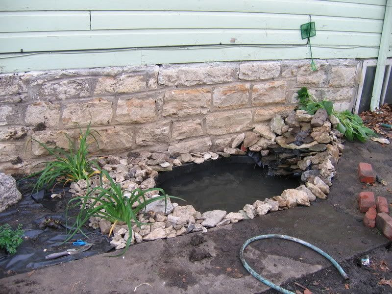 DIY Outdoor Turtle Pond
 Guide to Outdoor Ponds for Turtles Pond size structure and location maintenance of pond