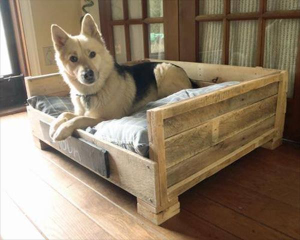 DIY Pallet Dog Bed Plans
 8 DIY Pallet Beds For Dogs