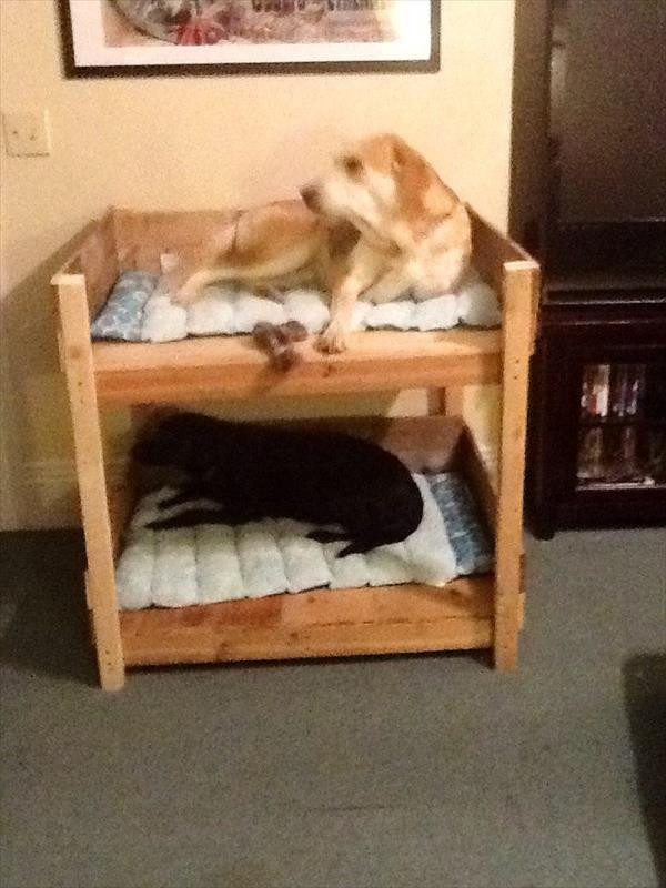 DIY Pallet Dog Bed Plans
 Pallet dog bed plans