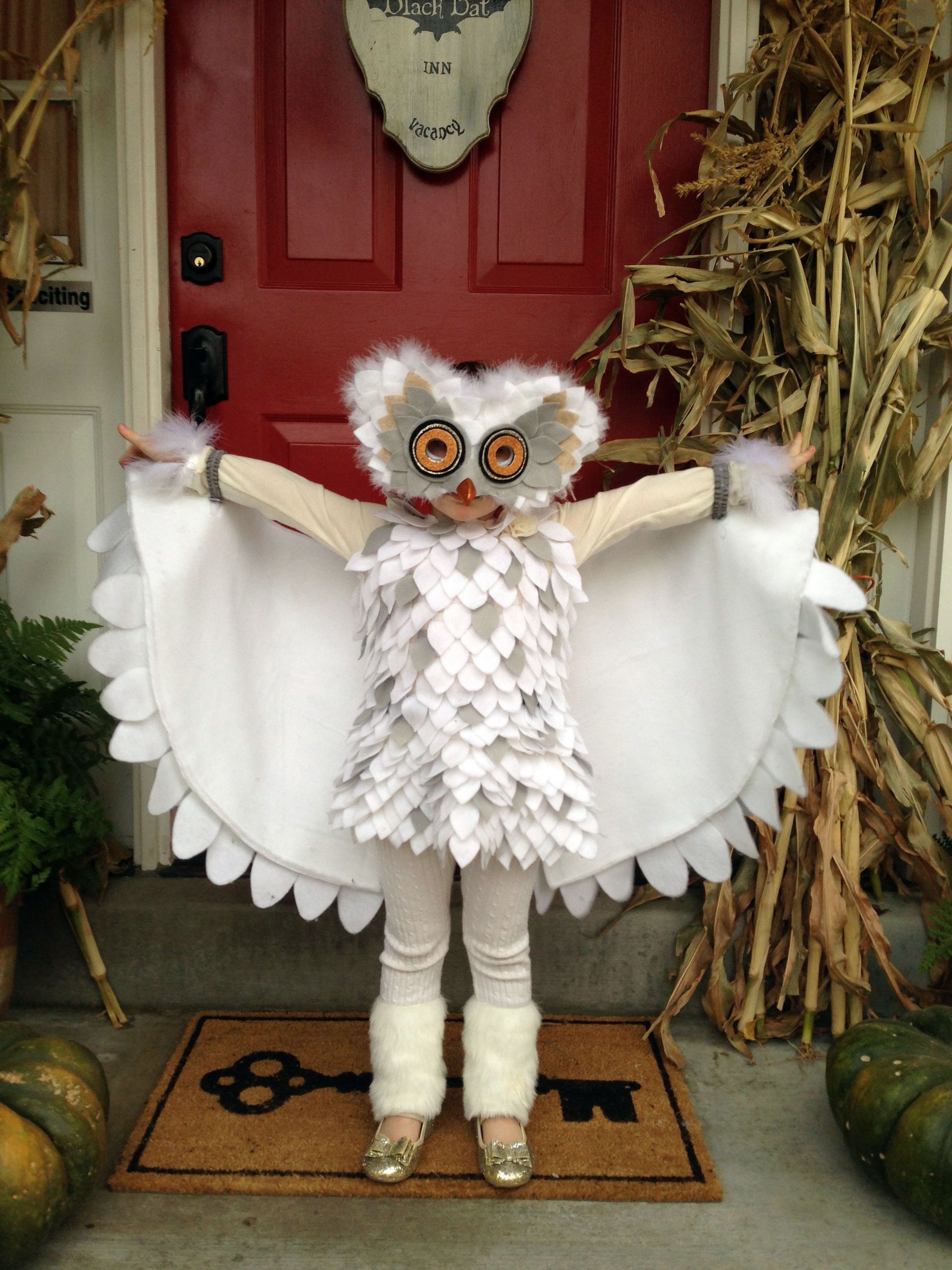 DIY Toddler Owl Costume
 Os mais originais disfarces de Carnaval reciclados