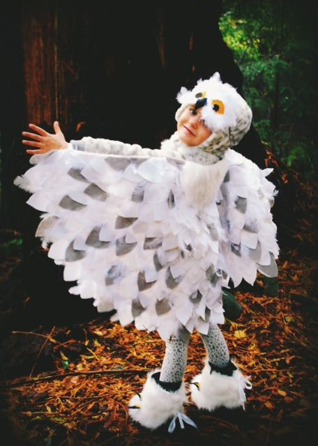 DIY Toddler Owl Costume
 No sew Snowy Owl Costume DIY My fav costume EVER