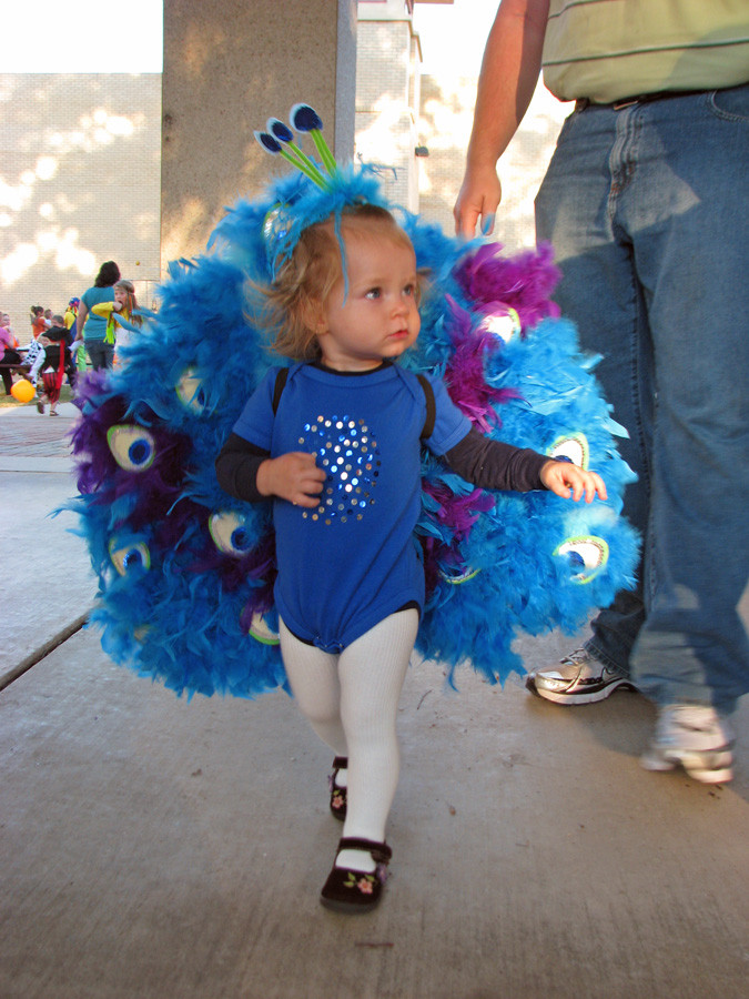 DIY Toddler Peacock Costume
 DIY Peacock Costume