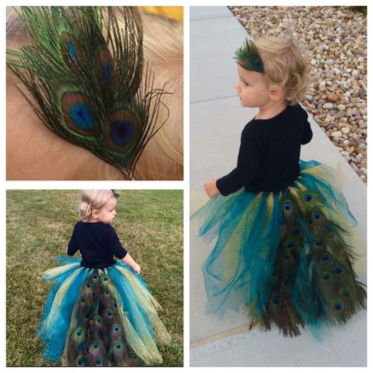 DIY Toddler Peacock Costume
 Easy and cheap toddler Peacock Halloween Costume Make a