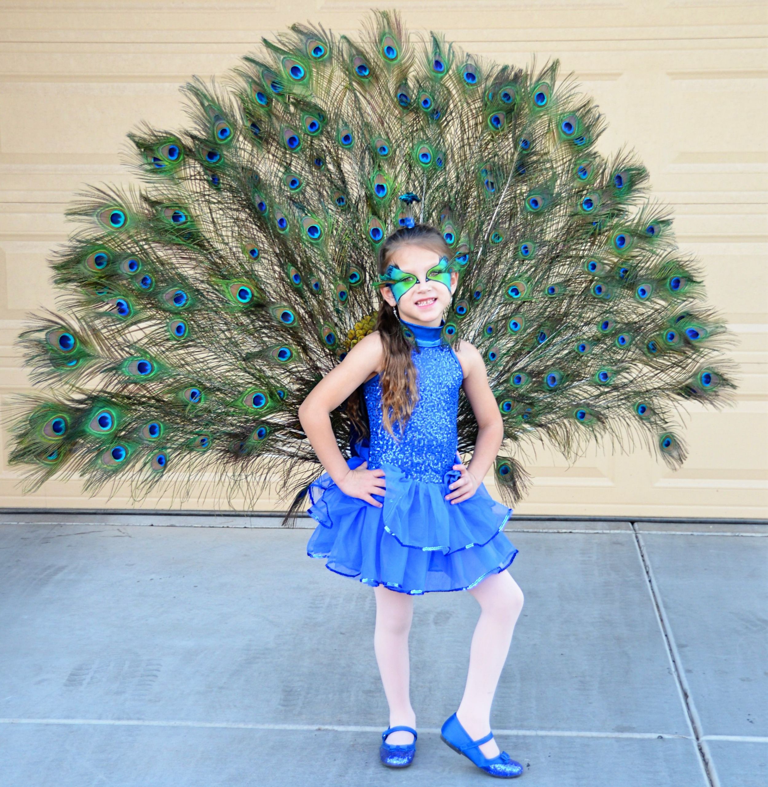 DIY Toddler Peacock Costume
 Pin by Melanie Trevino on Halloween Costume