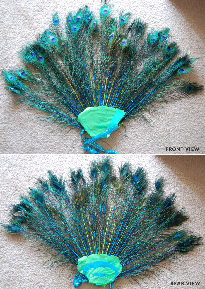 DIY Toddler Peacock Costume
 Handmade Awesomeness Check Out My DIY Peacock Costume