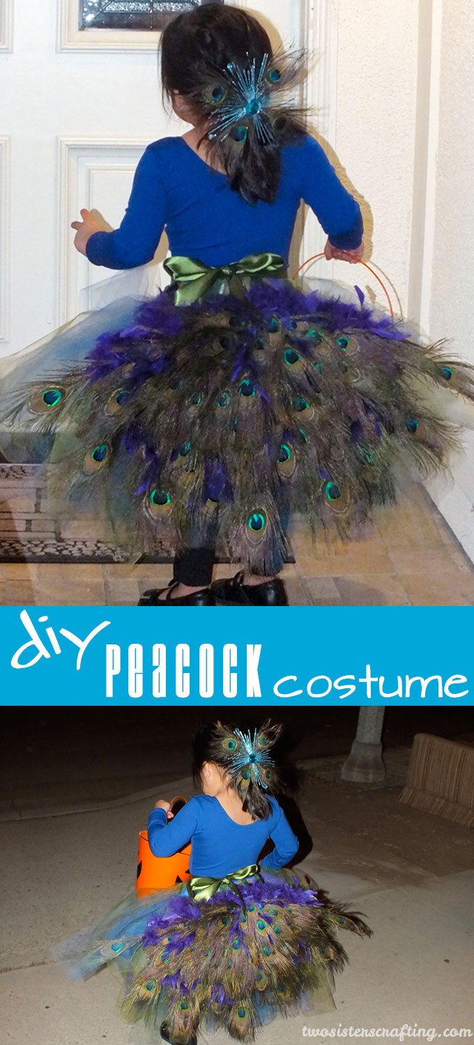 DIY Toddler Peacock Costume
 DIY Peacock Costume Two Sisters