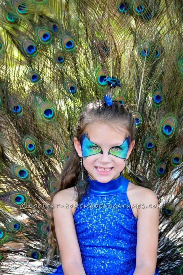 DIY Toddler Peacock Costume
 Best Homemade Peacock Costume for a Six Year Old Girl