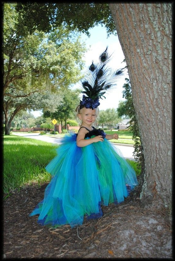 DIY Toddler Peacock Costume
 Peacock Tutu Dress and Feather Headband for inspiration