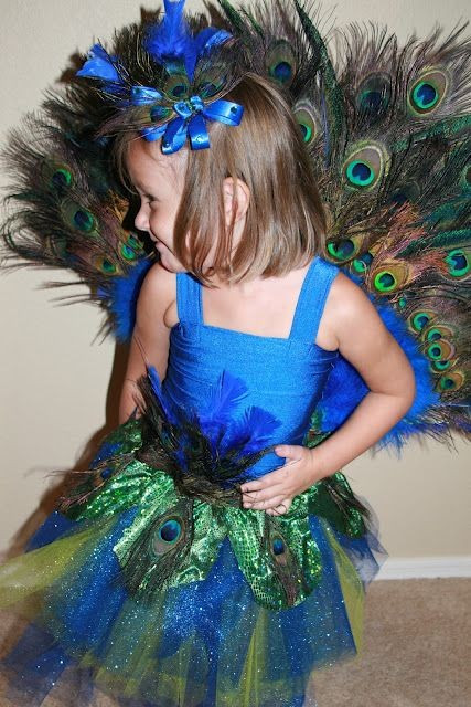 DIY Toddler Peacock Costume
 DIY peacock costume can this e in adult sizes please