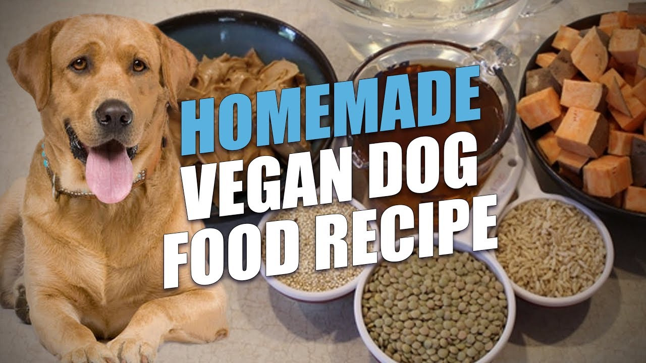DIY Vegan Dog Food
 Homemade Vegan Dog Food Recipe the Healthiest Option