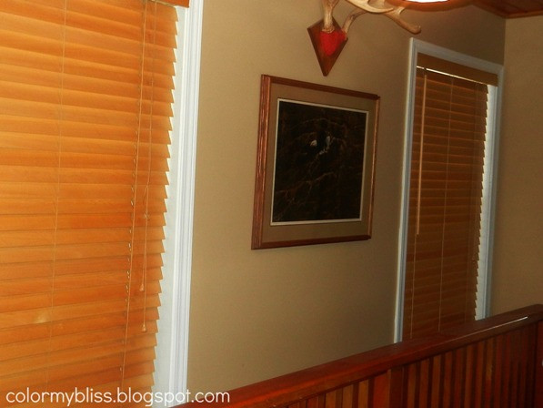 DIY Wooden Blinds
 Color My Bliss DIY Cleaner for Wood Floors and Wood Mini
