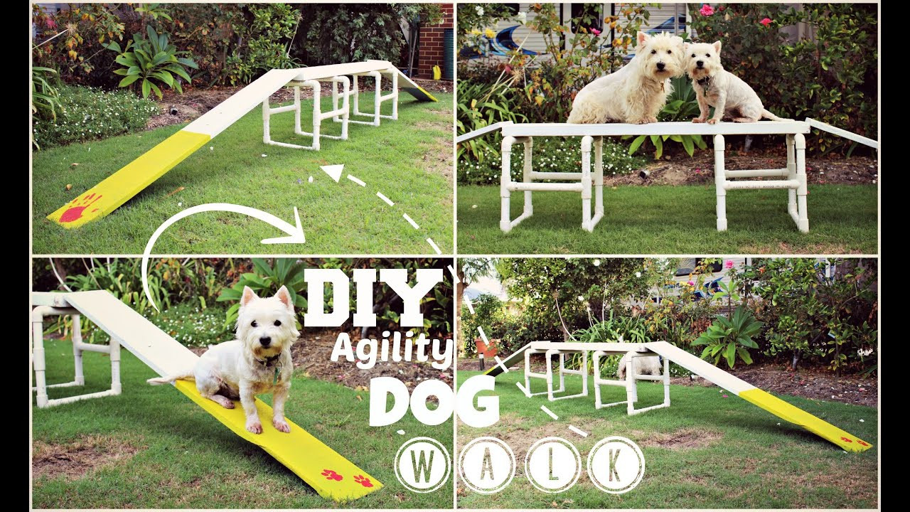 Dog Agility Equipment DIY
 How To DIY Agility Dog Walk