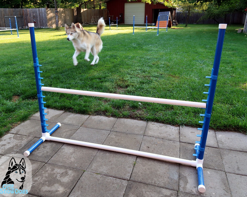 Dog Agility Equipment DIY
 DIY Build Your Own Agility Jumps for Backyard Fun Gone
