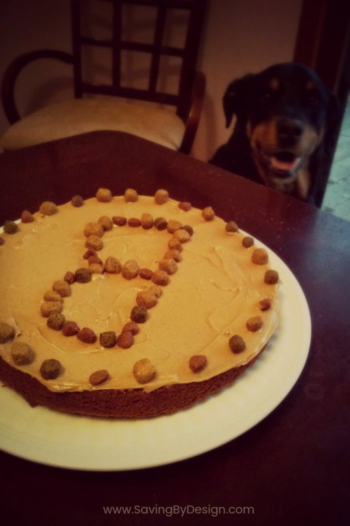 Dog Birthday Cake Recipes Easy
 Dog Birthday Cake Recipe How to Make a Dog Cake the Easy Way
