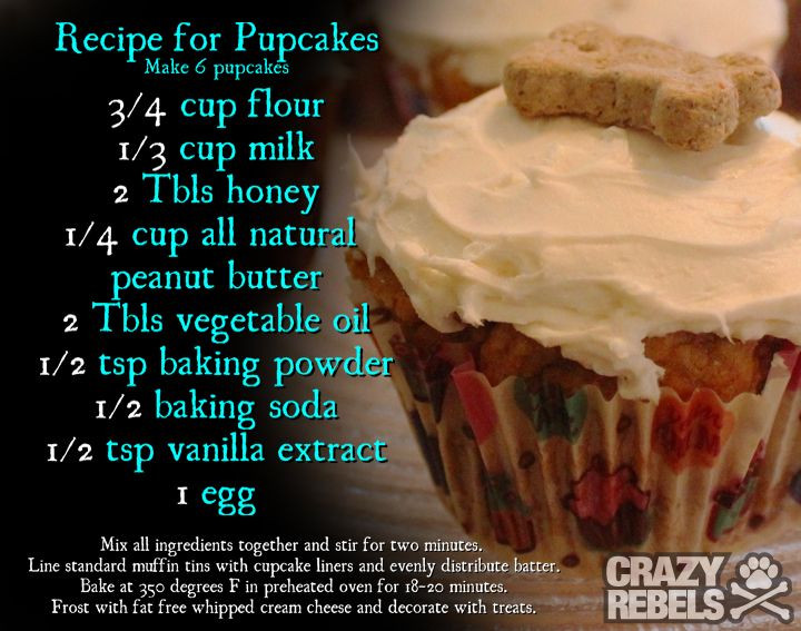 Dog Birthday Cake Recipes Easy
 Best 25 Dog cupcake recipes ideas on Pinterest