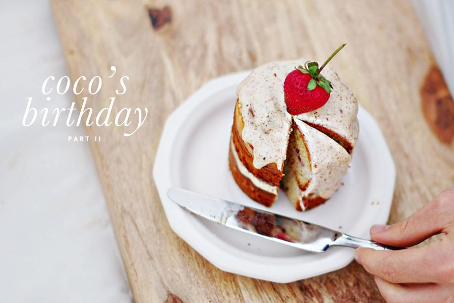 Dog Birthday Cake Recipes Easy
 Coco’s Birthday Weekend – Part II Dog