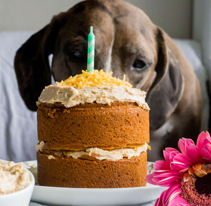 Dog Birthday Cake Recipes Easy
 14 Dog Birthday Cake & Cupcake Homemade Recipes PlayBarkRun