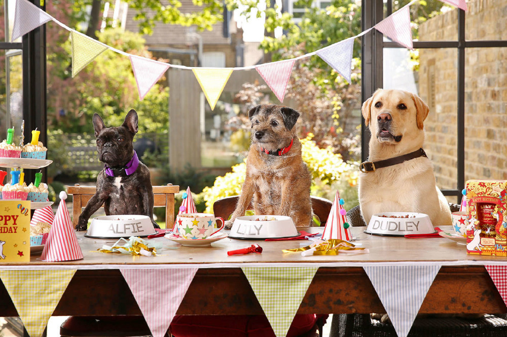 Dog Birthday Decorations
 5 Ways To Make Your Pooch s Birthday Party Perfect