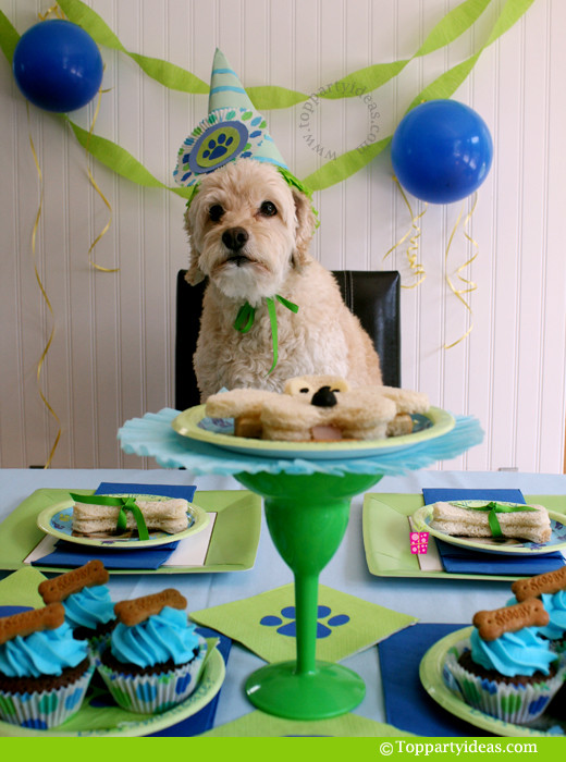 Dog Birthday Decorations
 15 Times Humans Treated Their Dogs Like Their Own Babies