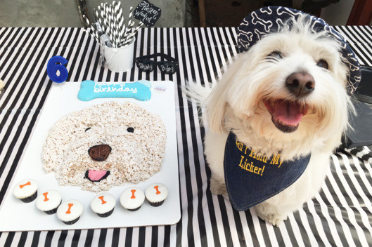 Dog Birthday Decorations
 Dog Parties The Best New Way to Waste Money The Cut