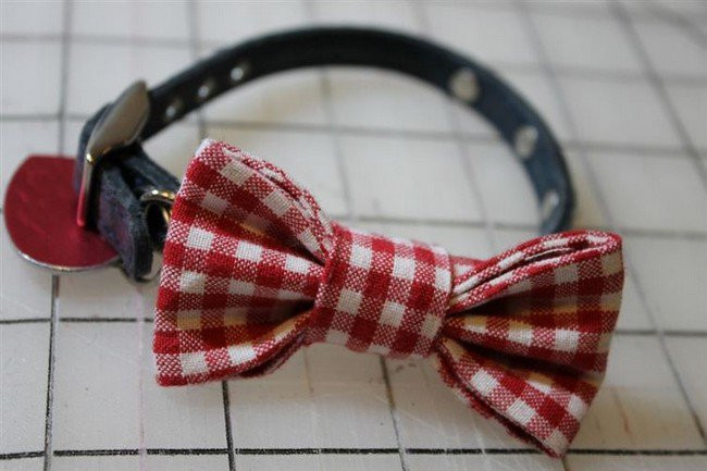 Dog Bow Tie DIY
 16 Awesome DIY Dog Accessory Ideas You And Your Pooch Will Love